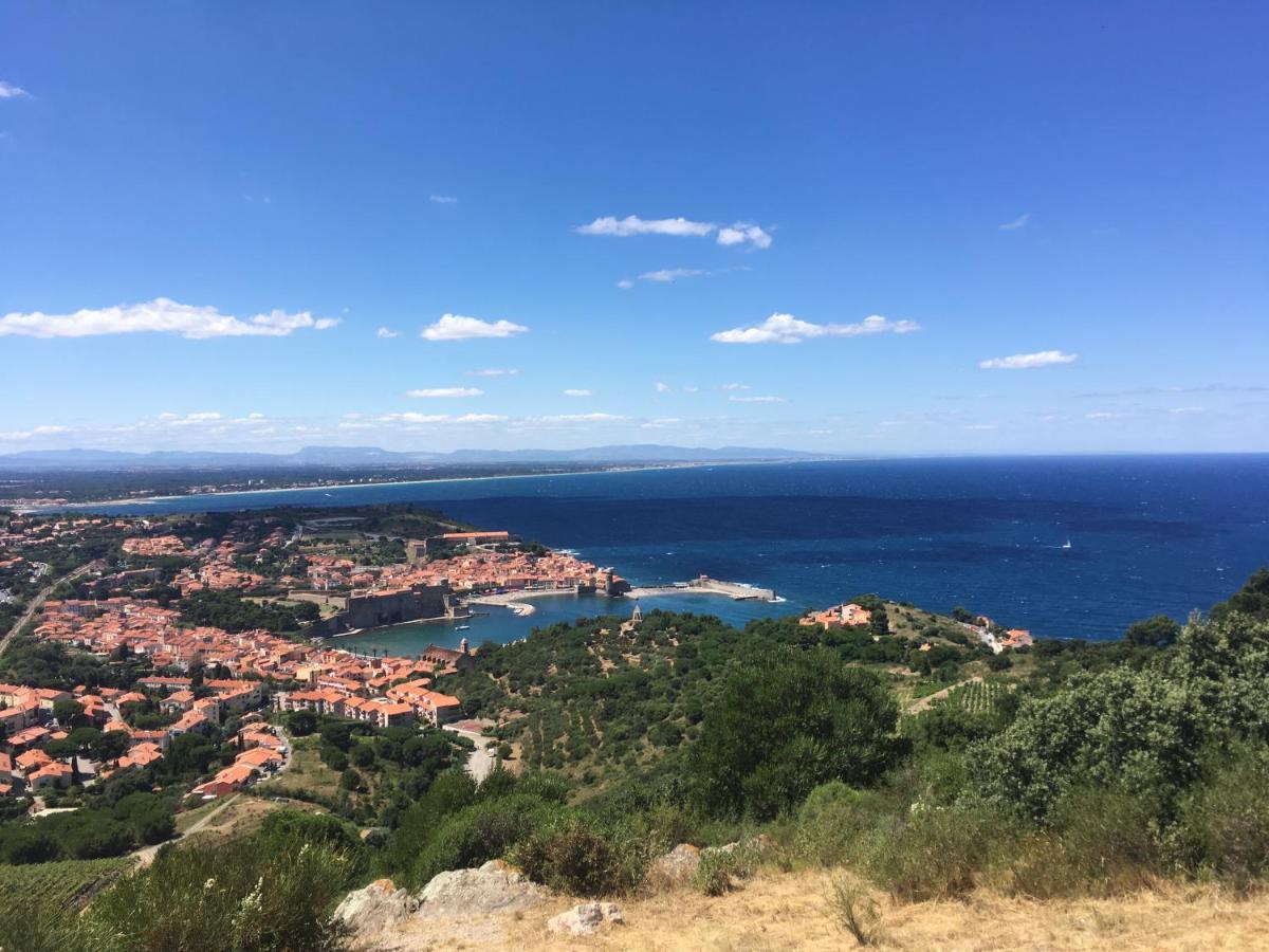 Pieds Dans L'Eau A Collioure Leilighet Eksteriør bilde